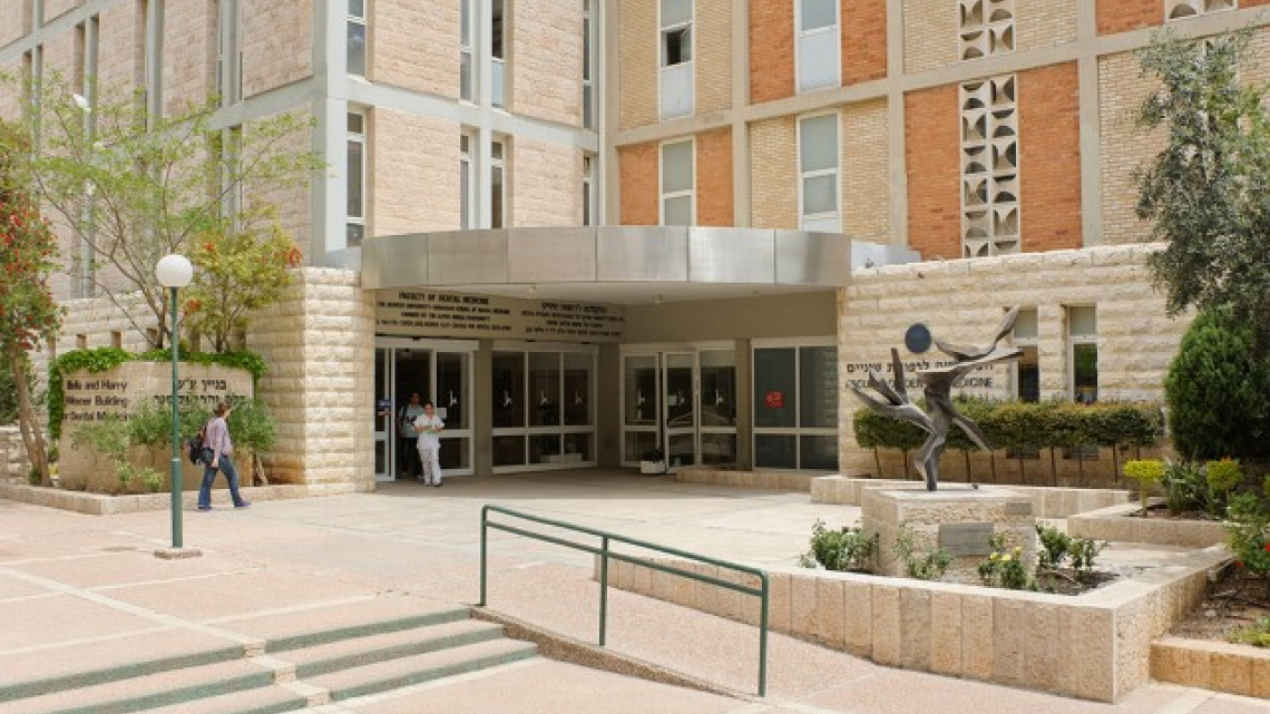 הדסה עין כרם